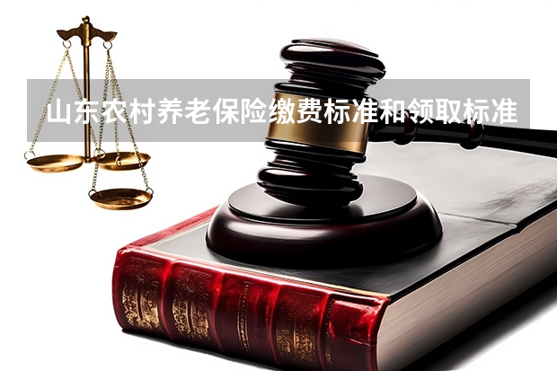 山东农村养老保险缴费标准和领取标准