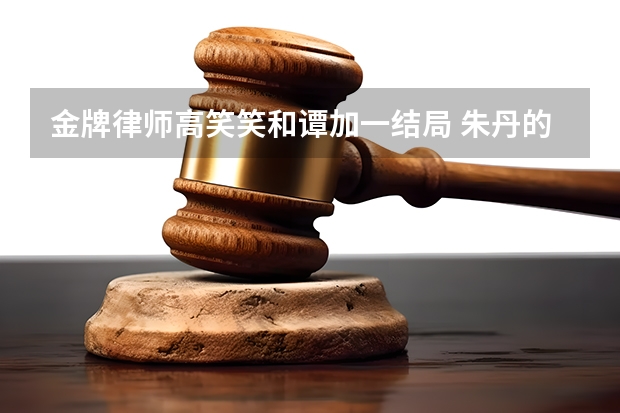 金牌律师高笑笑和谭加一结局 朱丹的儿子是谁 周一围朱丹演的电视剧