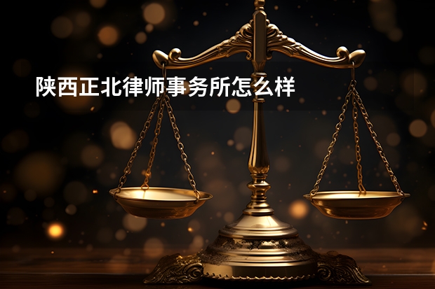 陕西正北律师事务所怎么样