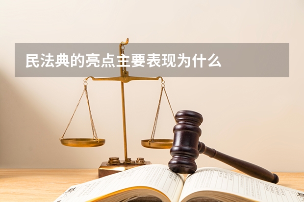 民法典的亮点主要表现为什么