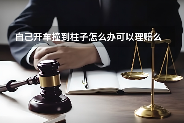 自己开车撞到柱子怎么办可以理赔么