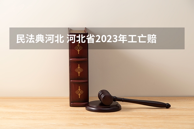 民法典河北 河北省2023年工亡赔偿标准
