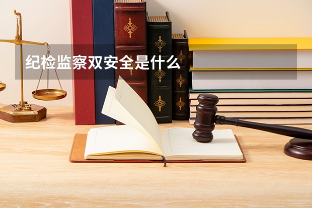 纪检监察双安全是什么