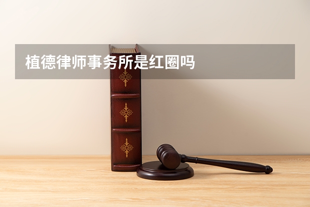 植德律师事务所是红圈吗